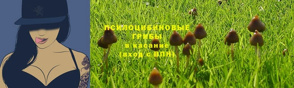 MDMA Premium VHQ Вяземский